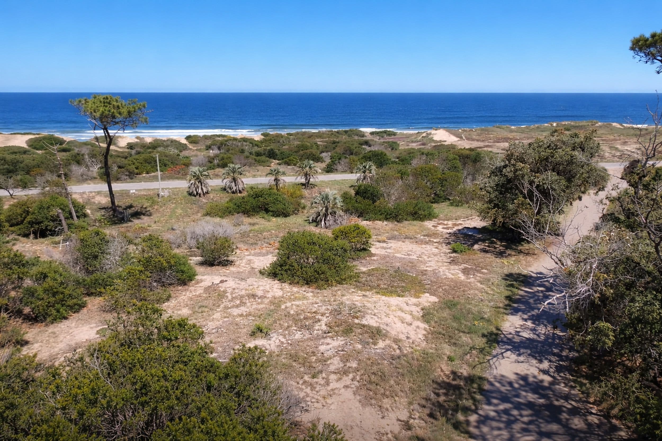 terreno gabi, featured image.jpg